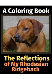 The Reflections of My Rhodesian Ridgeback