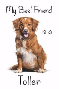 My best Friend is a Toller
