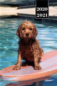 Poodle Dog Calendar Week Planner 2020 / 2021 - Little Surfer