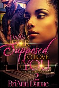 I Was Never Supposed To Love You 2