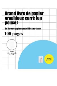 Grand livre de papier graphique carré
