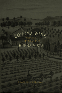 Sonoma Wine and the Story of Buena Vista