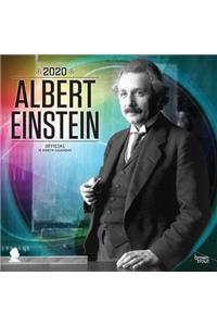 Albert Einstein Faces2020 Square Wall Calendar