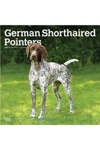 German Shorthaired Pointers International Edition 2021 Square Btuk
