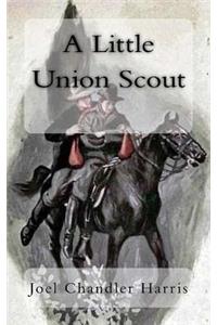 Little Union Scout