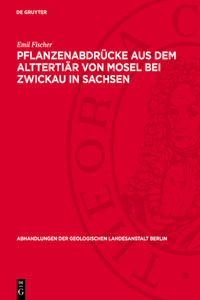 Pflanzenabdrücke Aus Dem Alttertiär Von Mosel Bei Zwickau in Sachsen