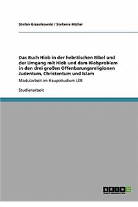 Buch Hiob in der hebräischen Bibel. Hiob und das Hiobproblem im Judentum, Christentum und Islam.