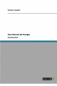 Das Internet als Pranger