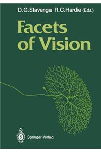 Facets of Vision