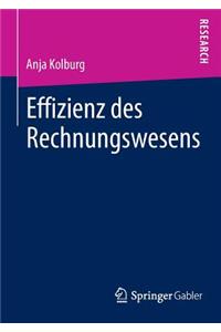 Effizienz des Rechnungswesens