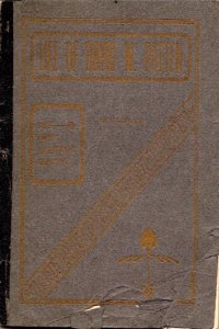 Life of David W. Patten