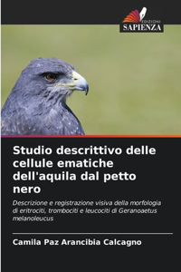 Studio descrittivo delle cellule ematiche dell'aquila dal petto nero