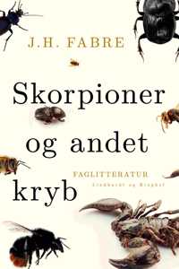 Skorpioner og andet kryb