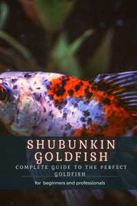 Shubunkin Goldfish
