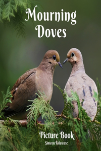 Mourning Doves Picture Book: A gift book for Bird Lovers and Birdwatchers A photobook for Seniors with Dementia and Alzheimer Patients Kids and Children Backyard birds Pigeon co