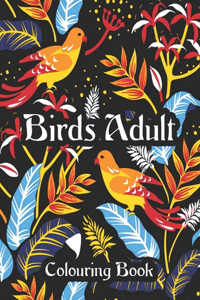 Birds Adult Colouring Book
