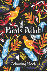 Birds Adult Colouring Book