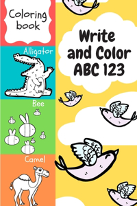 Write and Color ABC 123