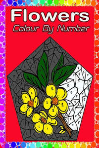 Flowers Color By Number