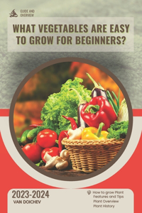 What vegetables are easy to grow for beginners?