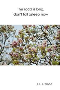 The road is long, don't fall asleep now