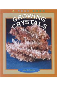 Growing Crystals