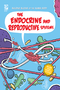Endocrine and Reproductive Systems