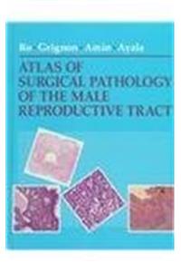 Atlas Of Surgical Pathology Of The Male Reproductive Tract