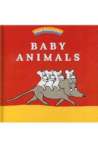 Baby Animals