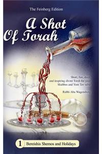 A Shot of Torah Volume 1