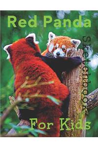 Red Panda Sketchbook For Kids