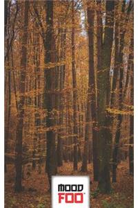 Mood Foo(tm) - Mind Over Mood - Notebook, Log, Journal - Scenic Series - 013