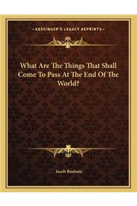 What Are the Things That Shall Come to Pass at the End of the World?