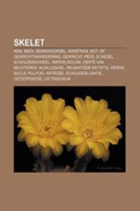 Skelet