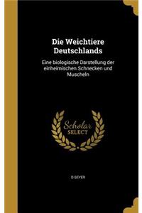 Die Weichtiere Deutschlands
