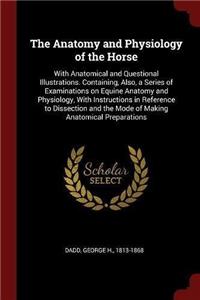 The Anatomy and Physiology of the Horse