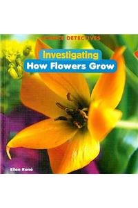 Investigating How Flowers Grow