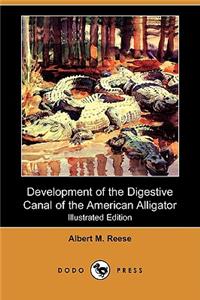 Development of the Digestive Canal of the American Alligator (Illustrated Edition) (Dodo Press)