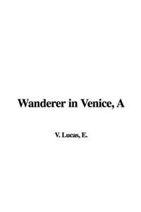 A Wanderer in Venice