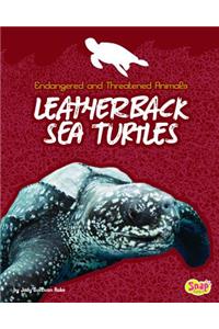 Leatherback Sea Turtles