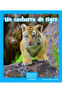 Un Cachorro de Tigre
