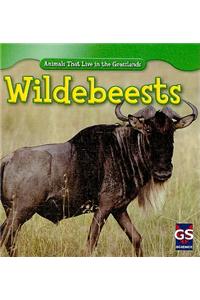 Wildebeests