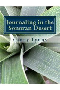 Journaling in the Sonoran Desert