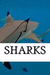 Shark Journal
