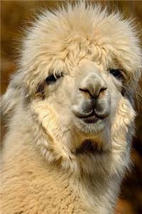 An Smug Cream Colored Llama Portrait Journal