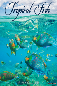 Tropical Fish 2022 Wall Calendar