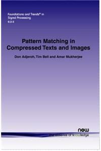 Pattern Matching in Compressed Texts and Images