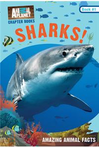 Sharks! (Animal Planet Chapter Books #1)