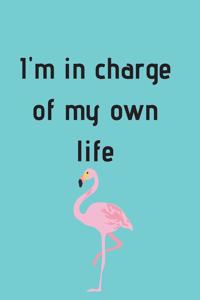 I'm in charge of my own life