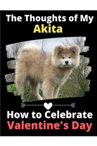 The Thoughts of My Akita